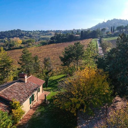 Il Vigneto Cottage بيرتينورو المظهر الخارجي الصورة
