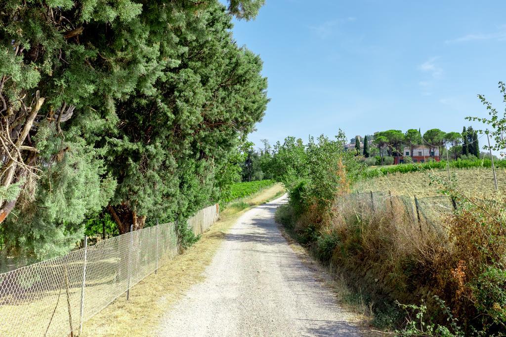 Il Vigneto Cottage بيرتينورو المظهر الخارجي الصورة