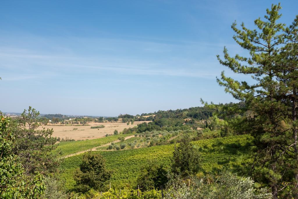 Il Vigneto Cottage بيرتينورو المظهر الخارجي الصورة